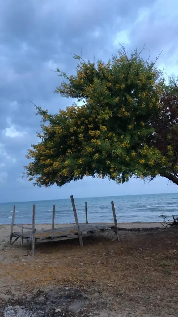 Medcezir Pansiyon galeri 18