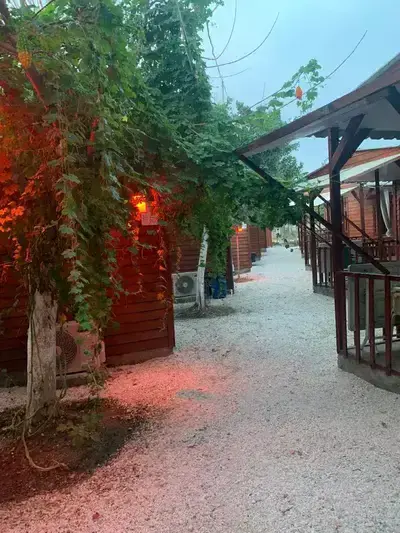 Medcezir Pansiyon bungalov — denize sıfır ahşap tiny-house konaklama